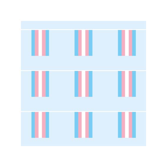 Transgender Pride Bunting