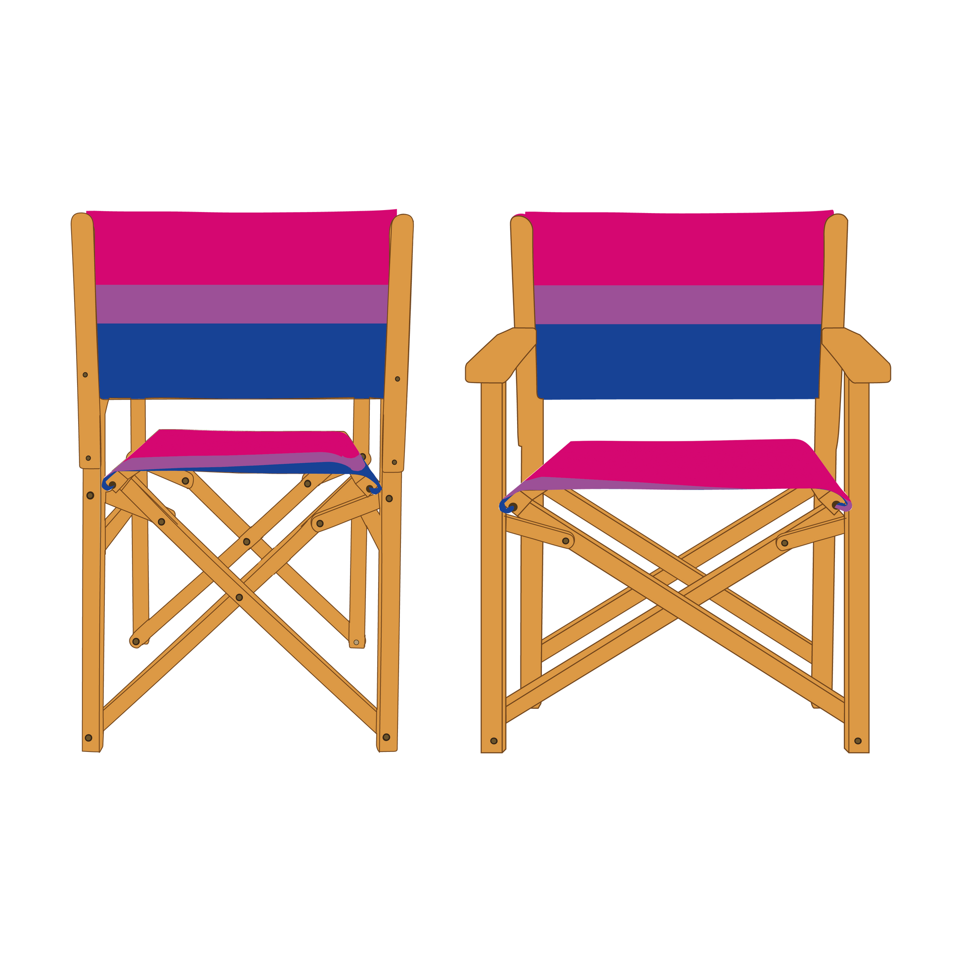 Bisexual Pride Personalised Directors Chair