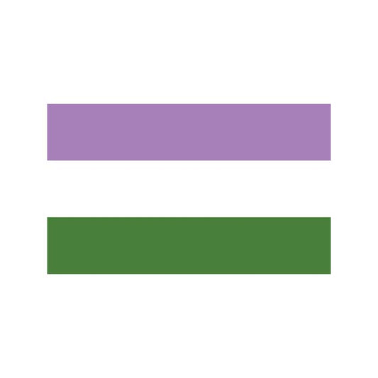 Genderqueer pride Flag