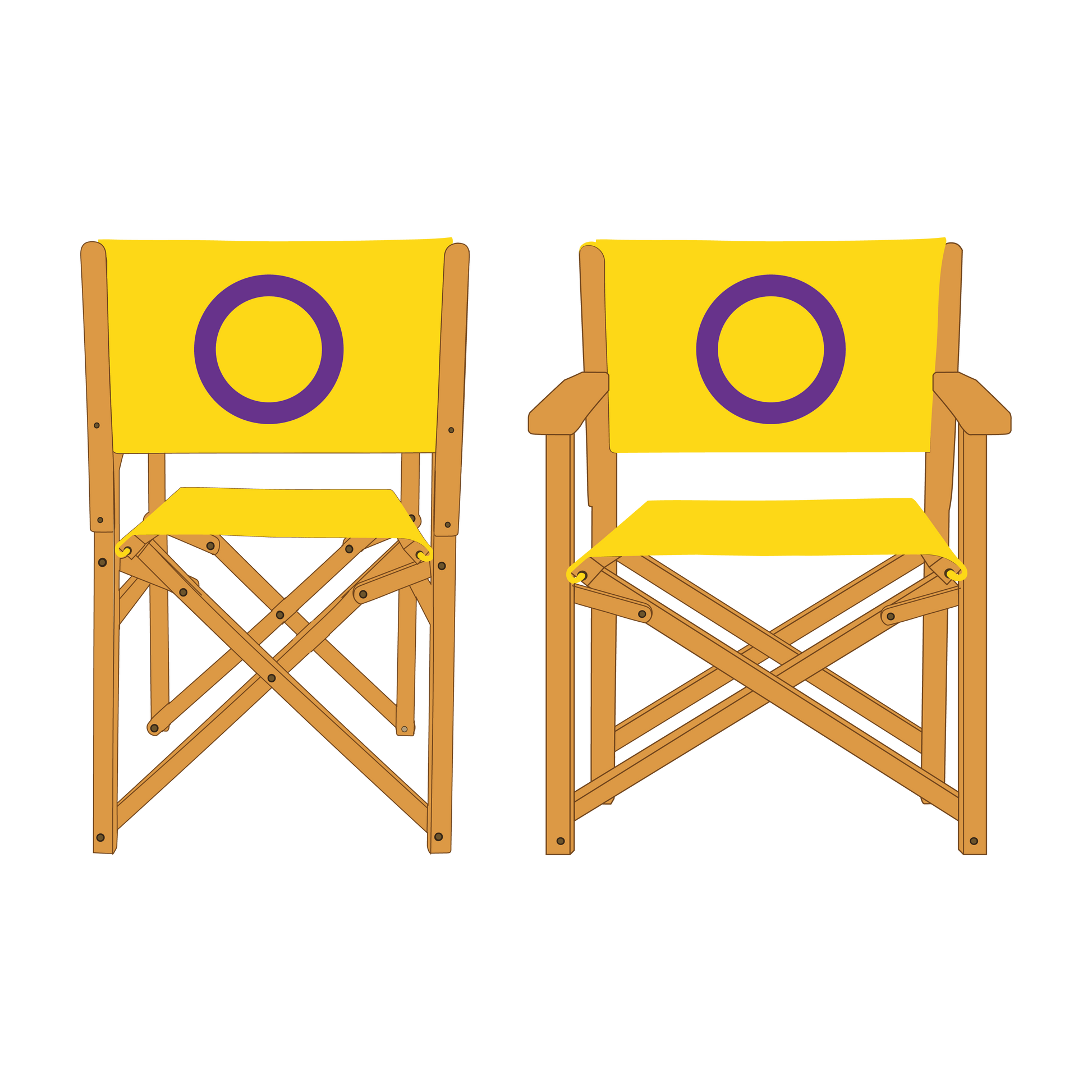 Intersex Pride Personalised Directors Chair