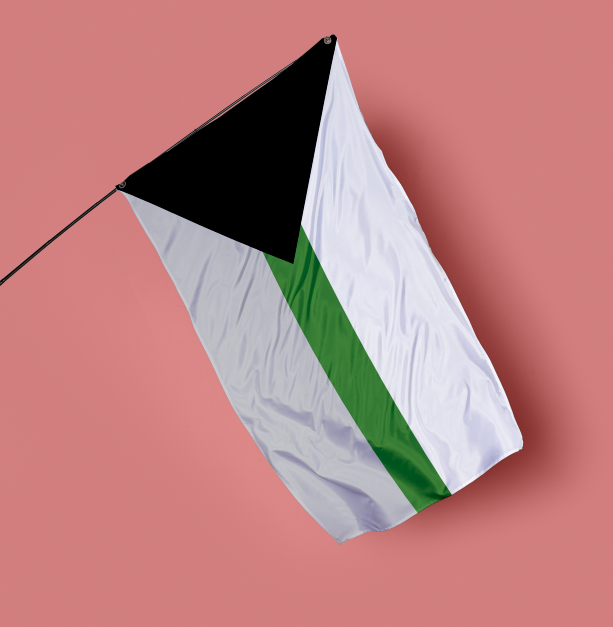 Demiromantic pride flag, featuring a black triangle, green horizontal stripe and a white background, on a pink background.