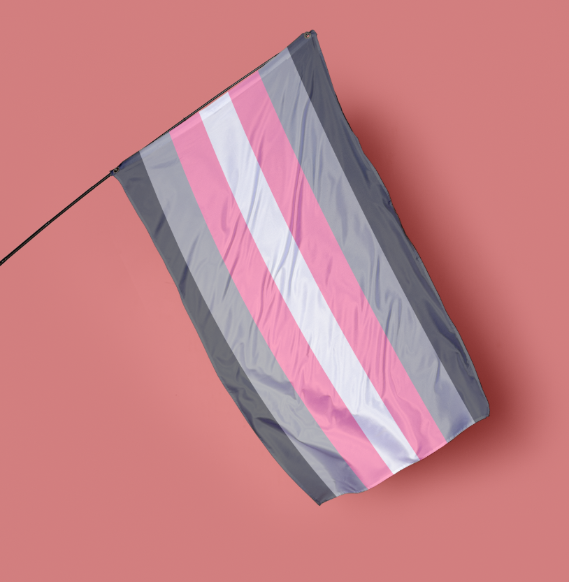 Demigirl pride flag, featuring dark grey, light grey, baby pink and white horizontal stripes, on a pink background.
