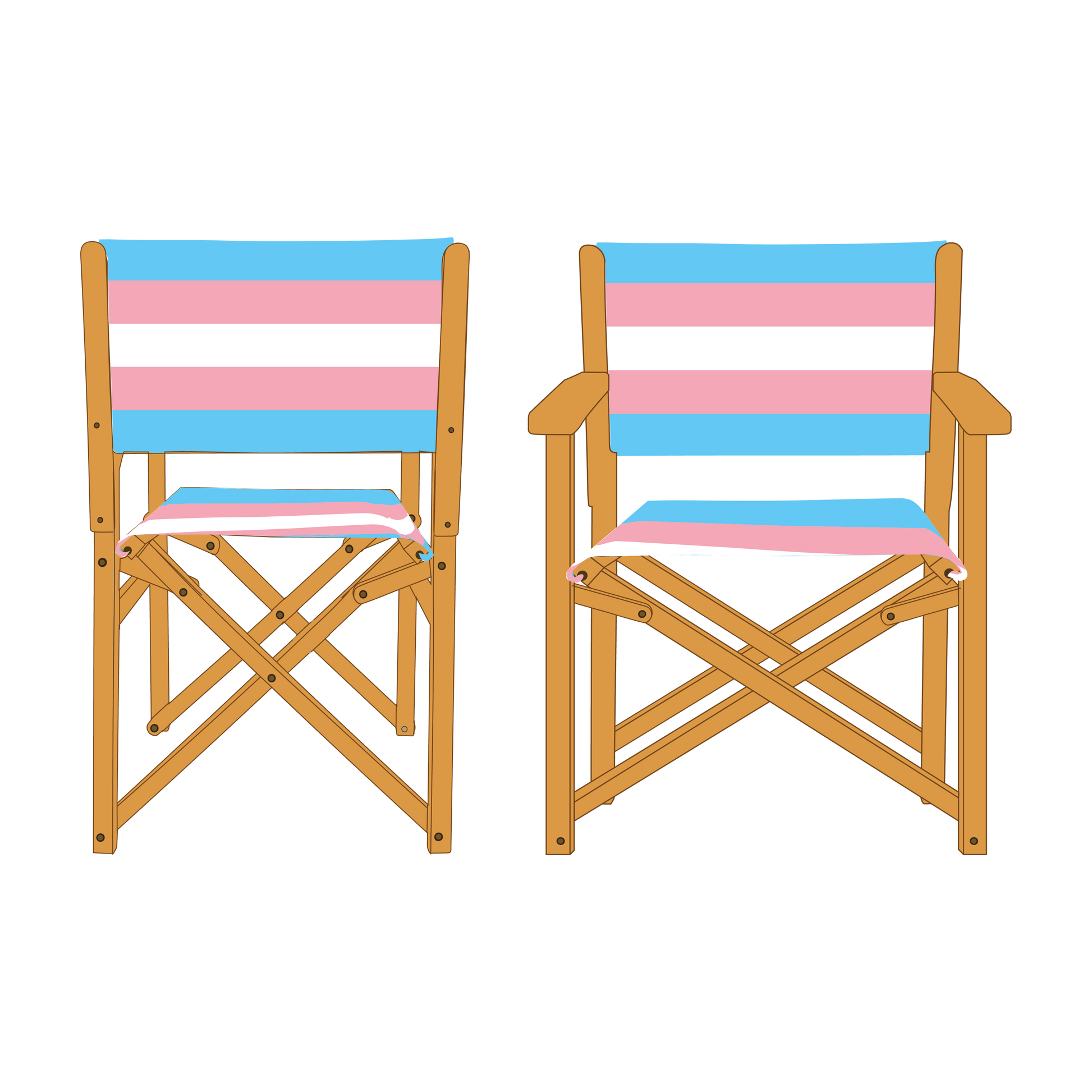 Transgender Pride Personalised Directors Chair