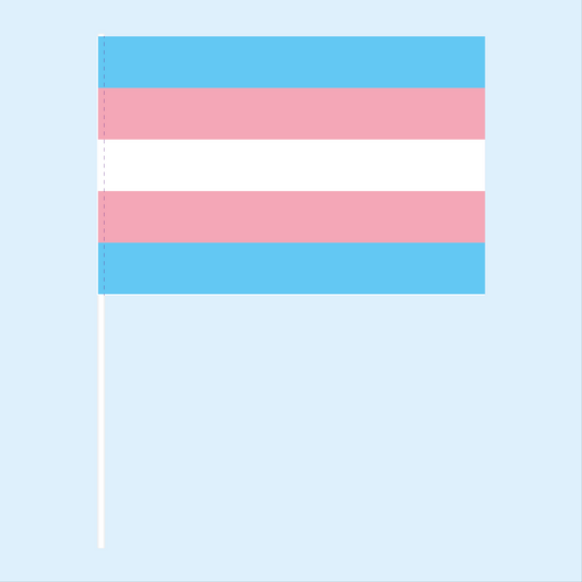 Transgender Pride Handwaving Flag