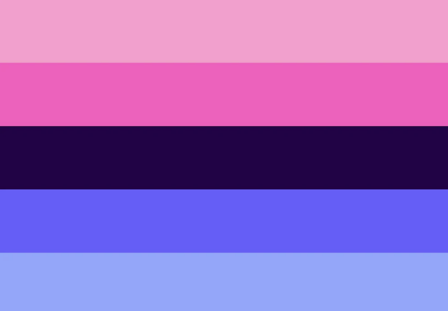 Omnisexual pride flag, featuring shades of pink, blue and black.