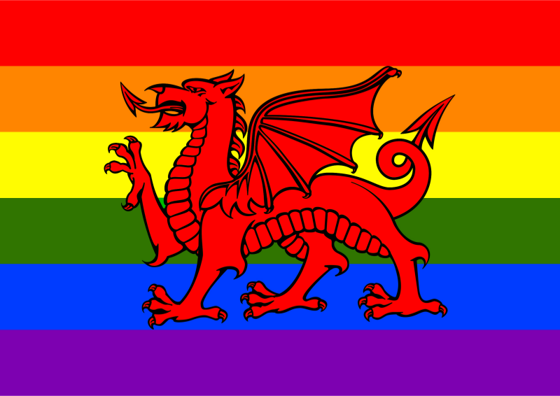 Rainbow pride version of the Welsh flag, with the rainbow replacing the background of the original flag.